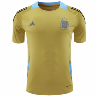 Argentina Pre-match Jersey Golden Copa America 2024