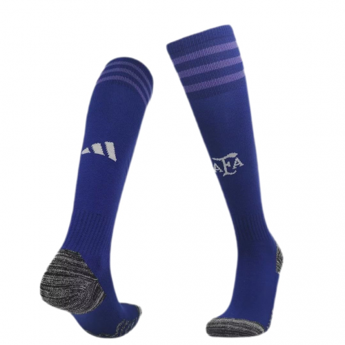 Argentina Soccer Socks Away Replica World Cup 2022